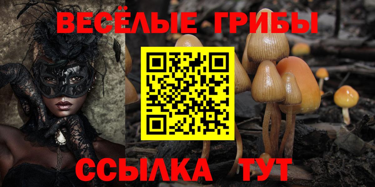 Галлюциногенные грибы мицелий Артём
