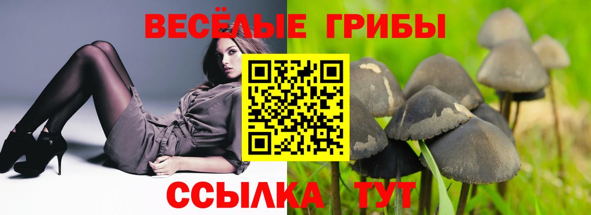 Артём  где купить   Вход с VPN  Галлюциногенные грибы мицелий 